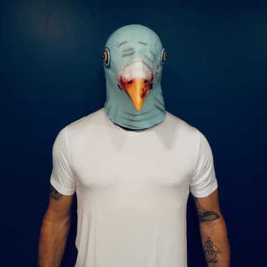 BigBadBird